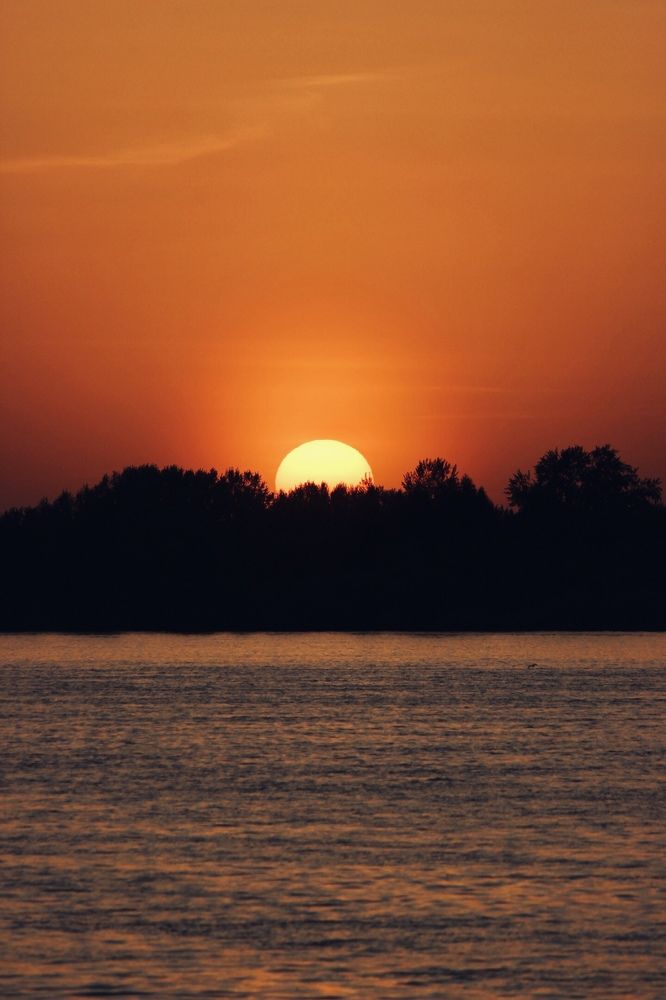 Photograph by Юлия Тигра