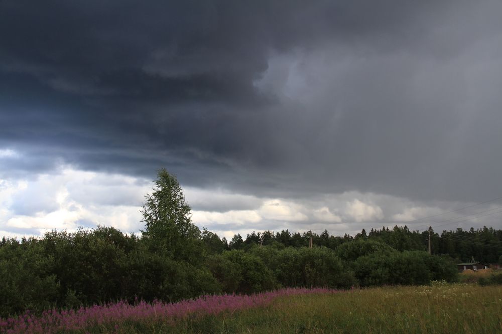 Фотография автора Анастасия Зверева