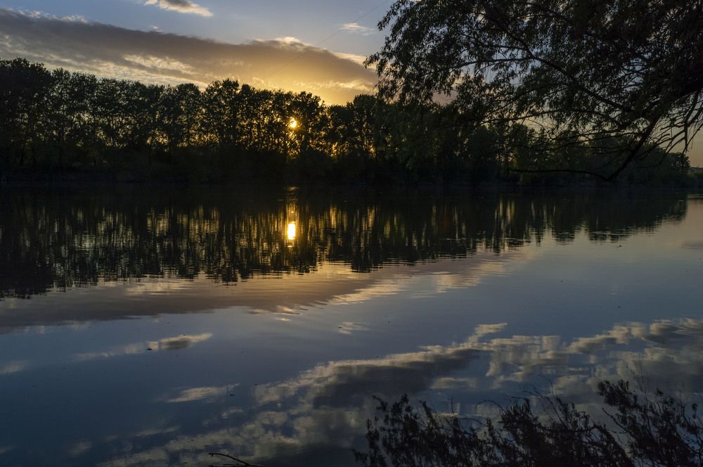 Photograph by Ирина Федорова