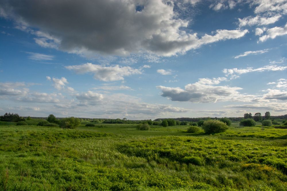 Фотография автора Геннадий Коробов