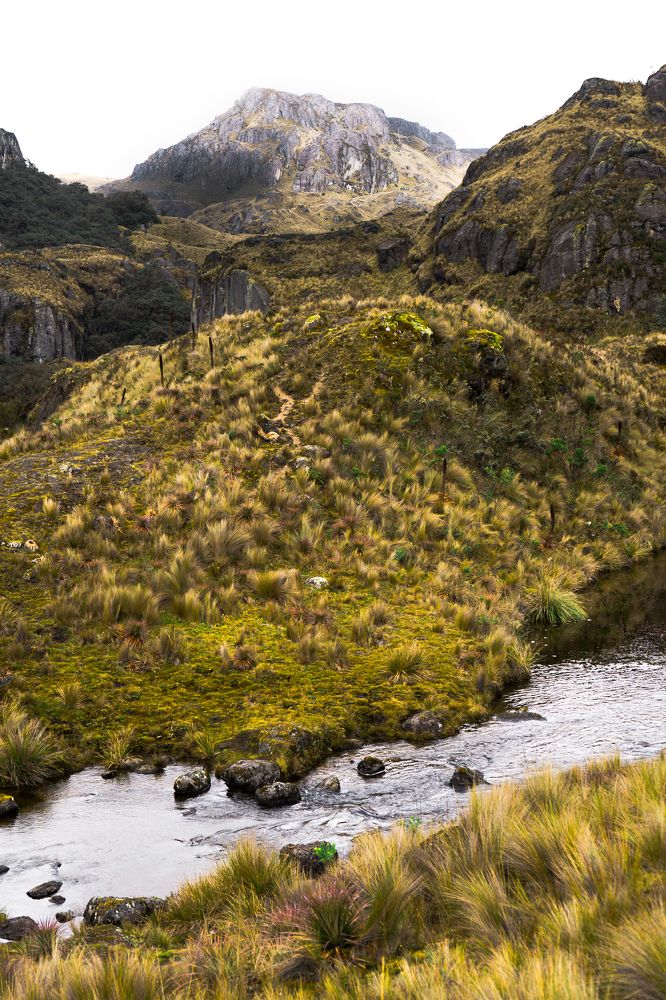 Фотография автора Cristian Sánchez