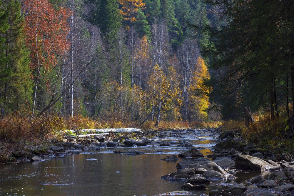 Осень на реке Нура
