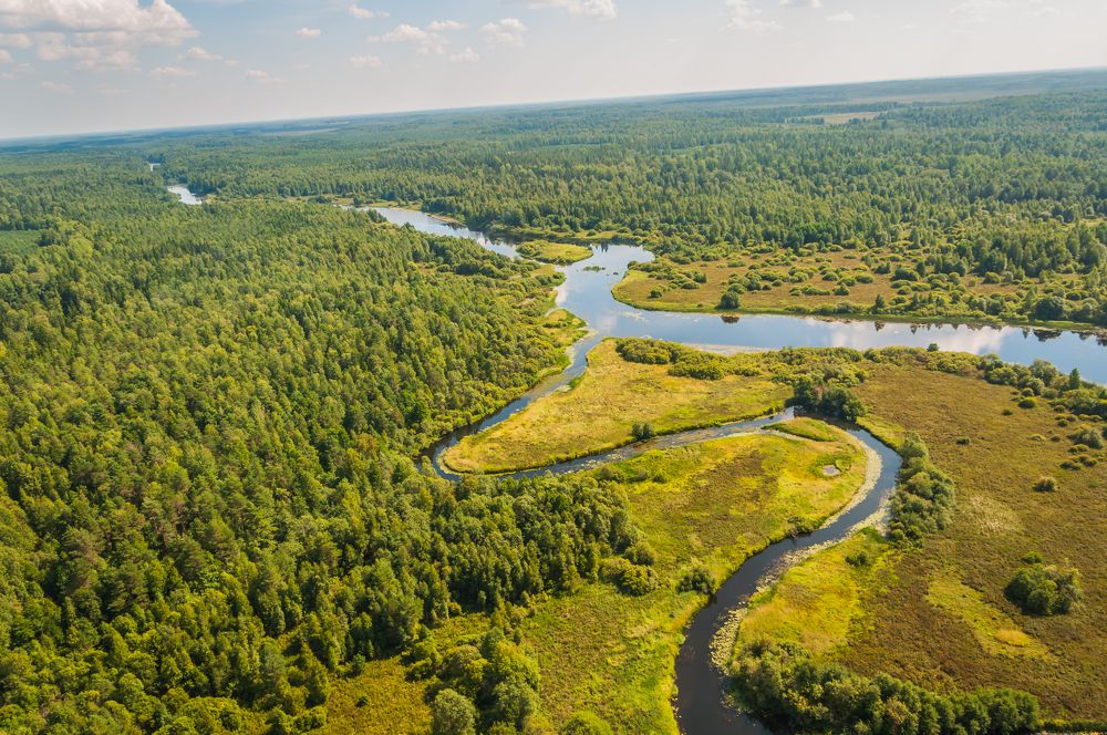 Фотография автора Олег Анатольевич Загорулько