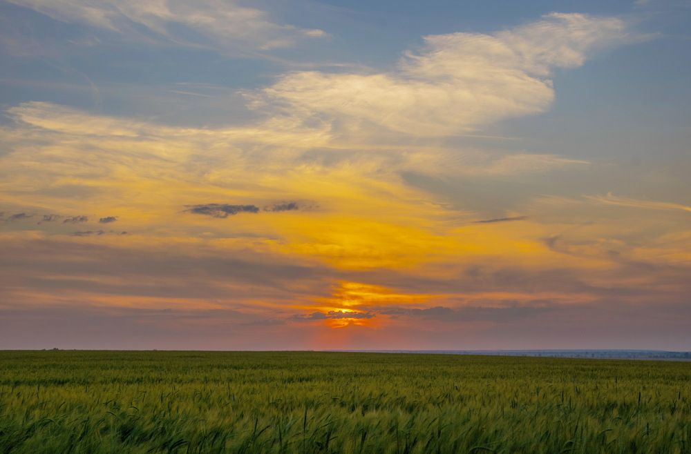 Photograph by Василий Быстрицкий