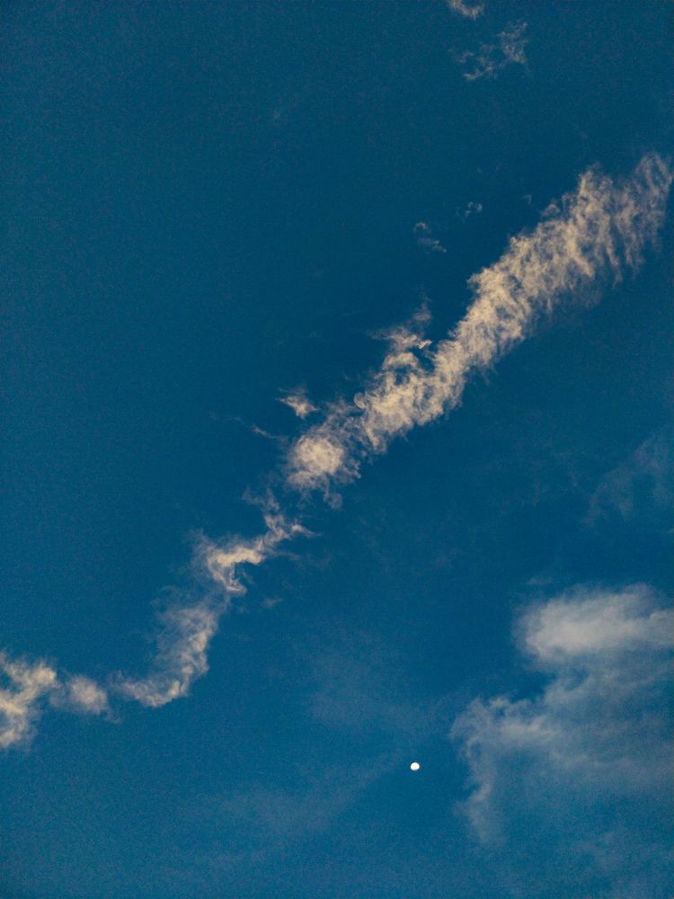 Photograph by Abhishek Biradar