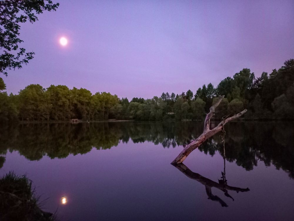 Photograph by Ольга Дорошенко