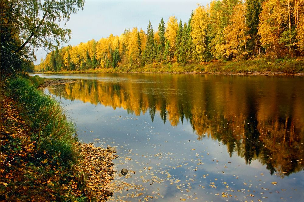 Осень на реке Оять