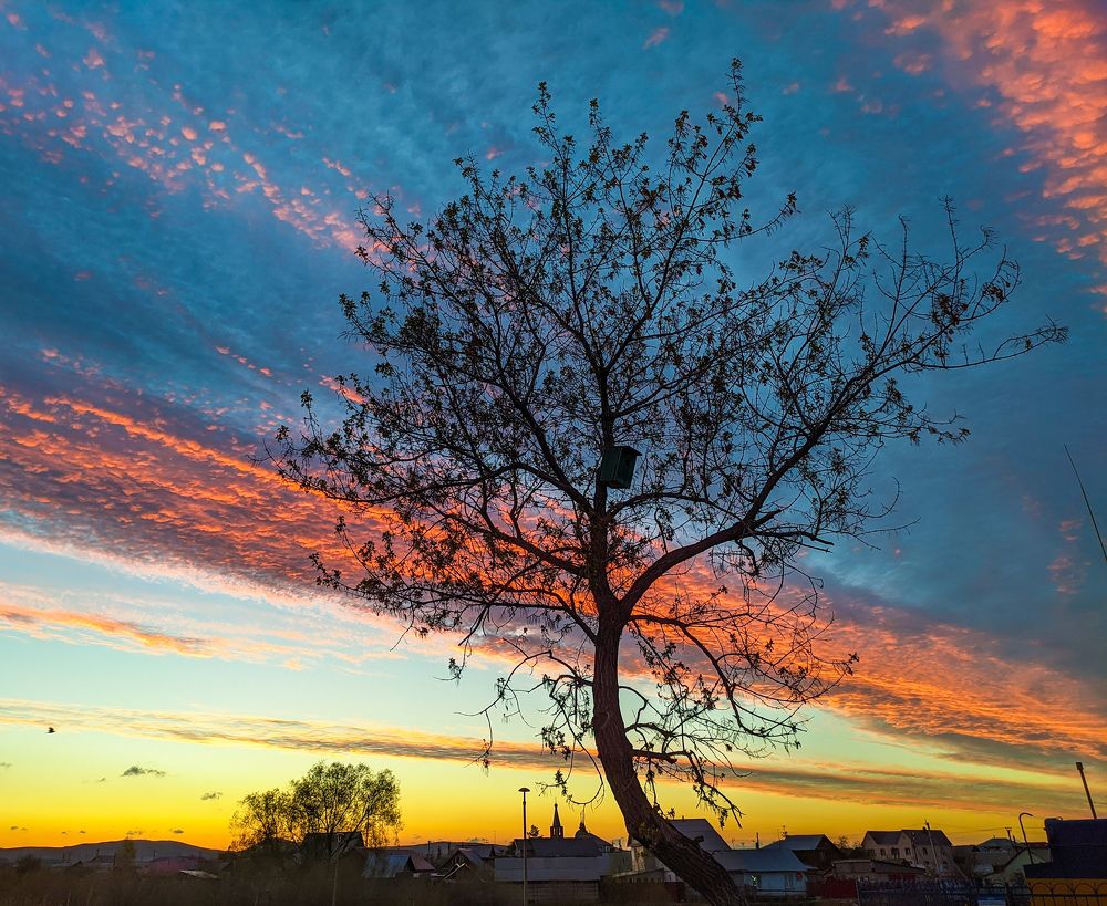 Photograph by Ишниязов Марсель