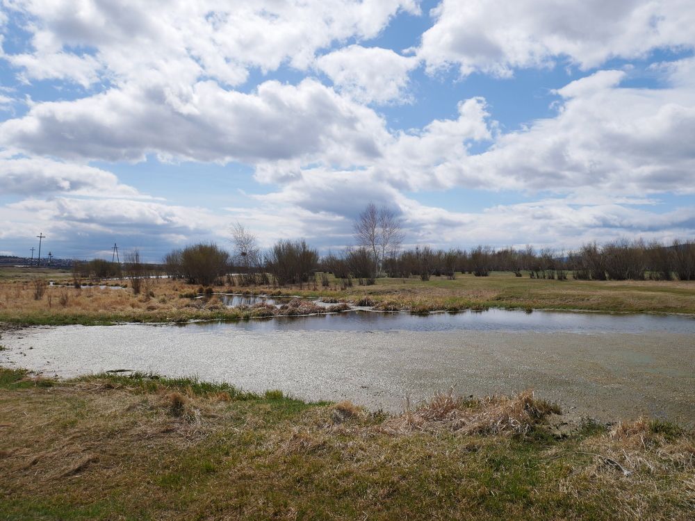 Photograph by Алеся Дей