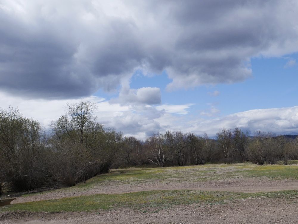 Photograph by Алеся Дей