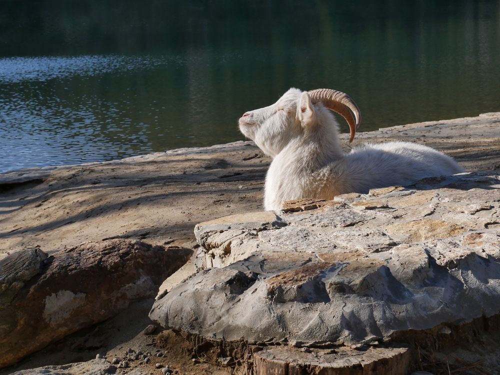 Photograph by Алеся Дей