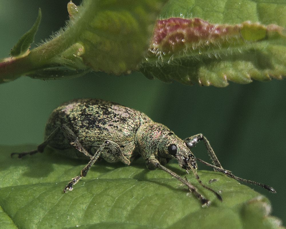 Photograph by Нина Минченко