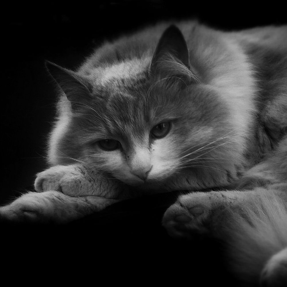 Photograph by Леонид Снег