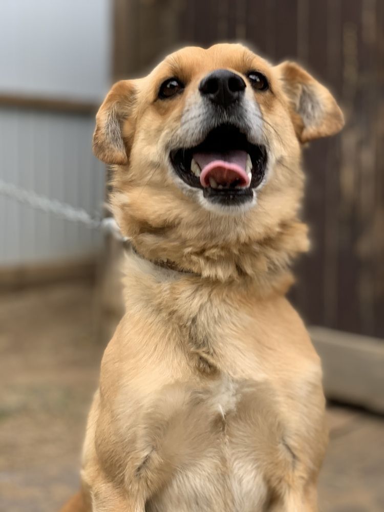 Photograph by Tatyana Grishko