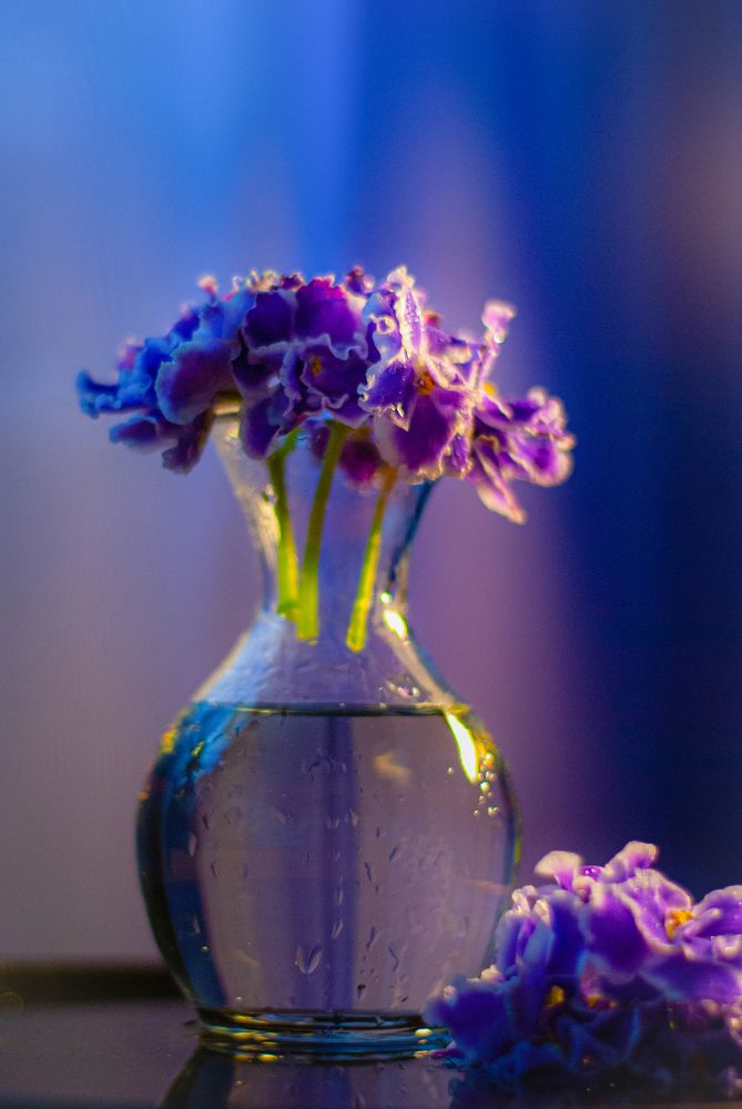 Photograph by Татьяна Гурьянова