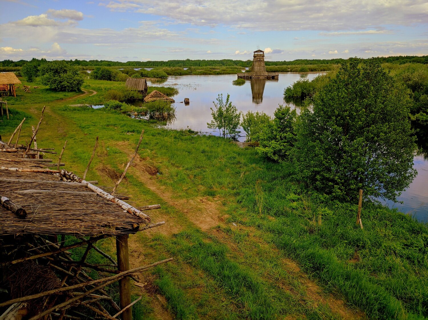 Photo #6146513