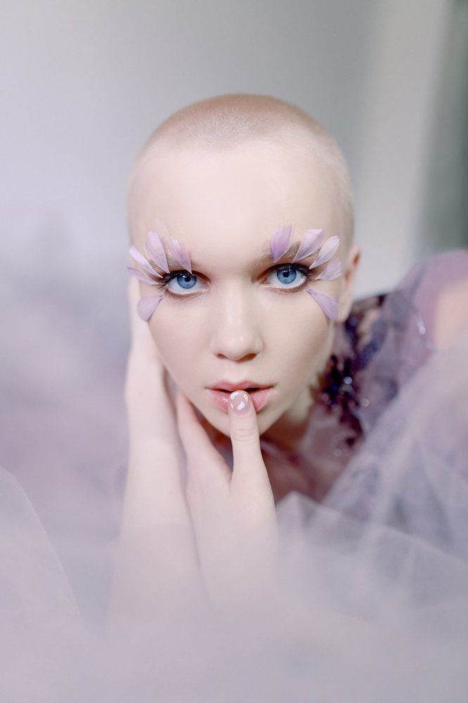 Wild Orchid