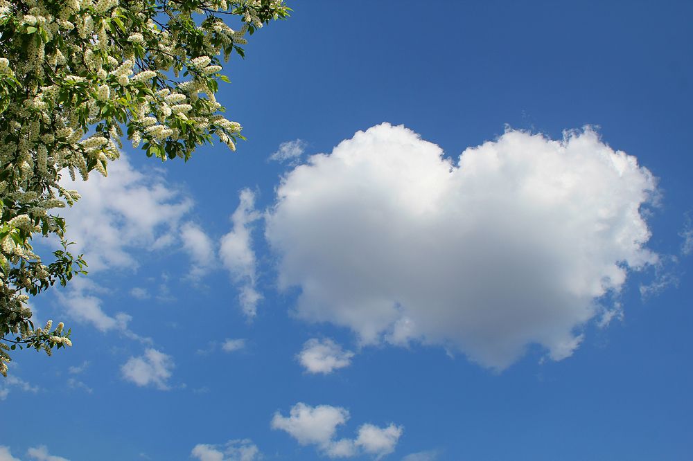 Photograph by Олеся Кучерова