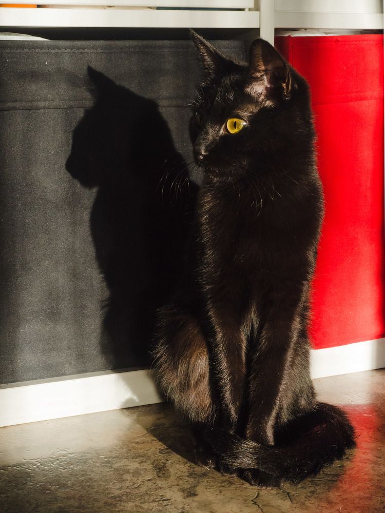 Фотография автора Алексей Школдин