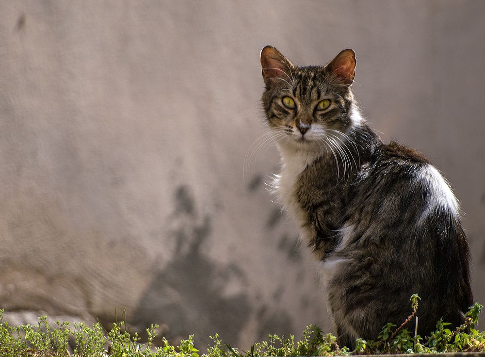 Photograph by Georgios Pallas