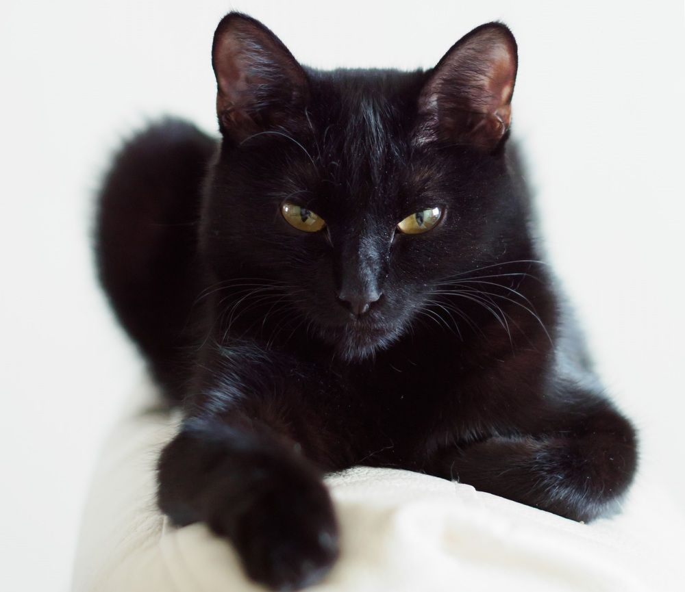 Фотография автора Алексей Школдин