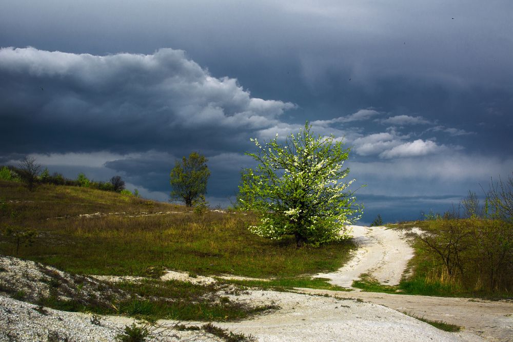 Photograph by Оксана Ильченко
