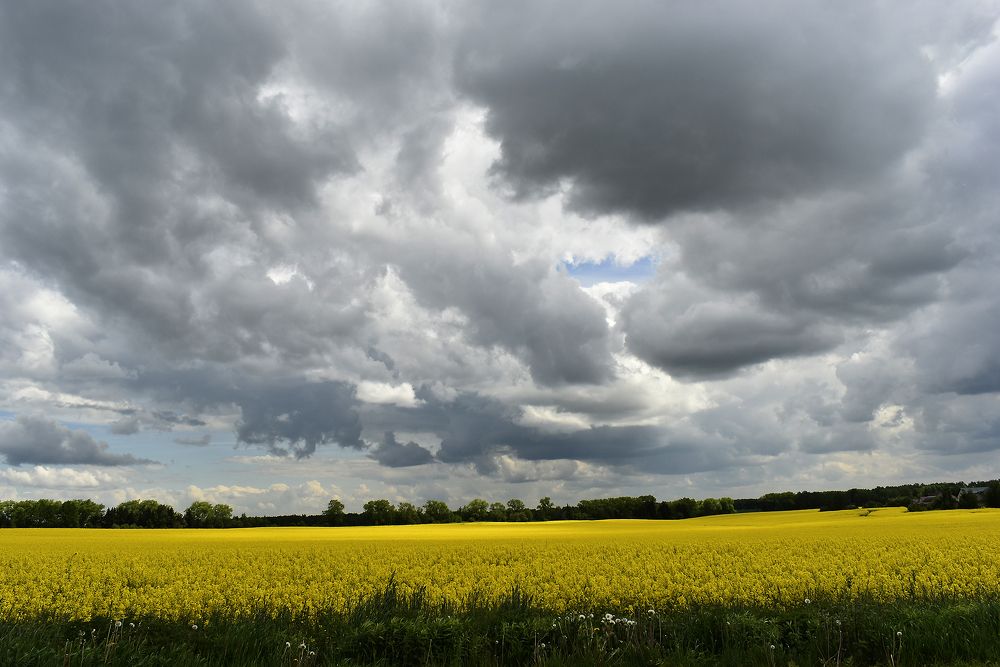 Photograph by Владимир Воложинский