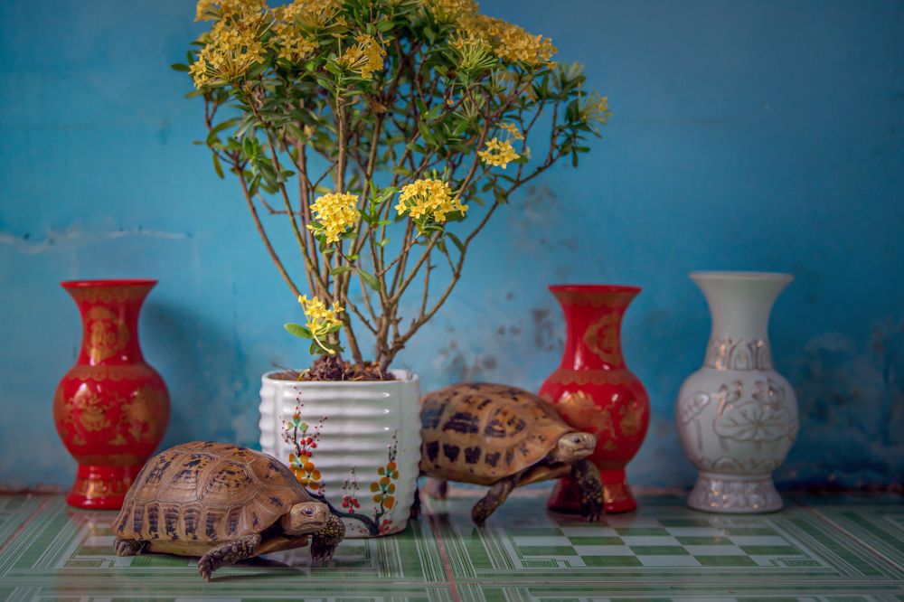 Фотография автора Đang Hong