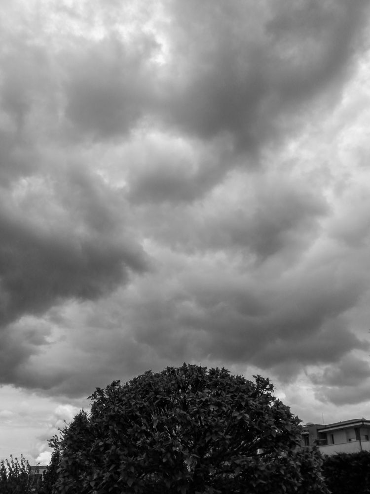 Фотография автора Denes Doma