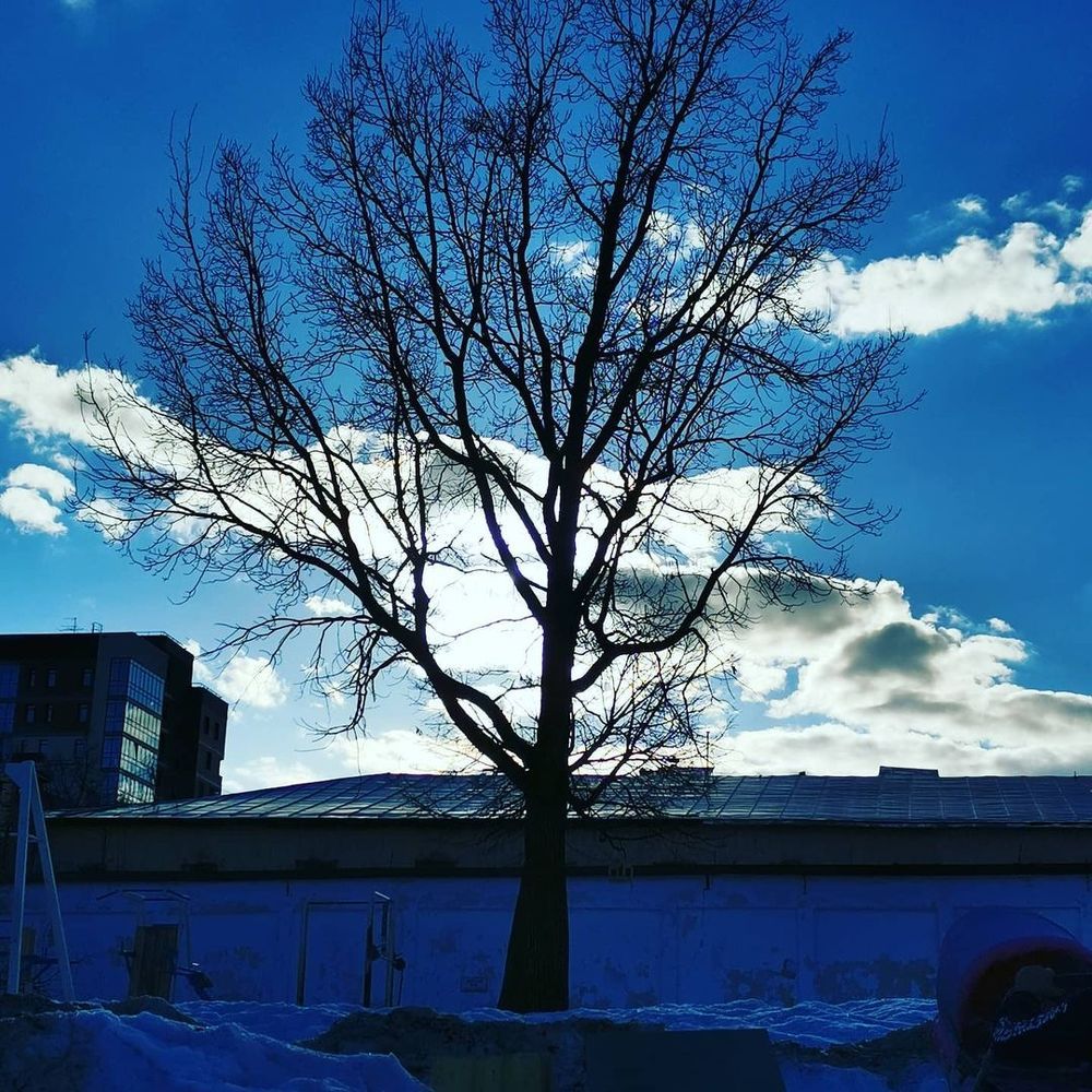 Photograph by Дмитрий Седых