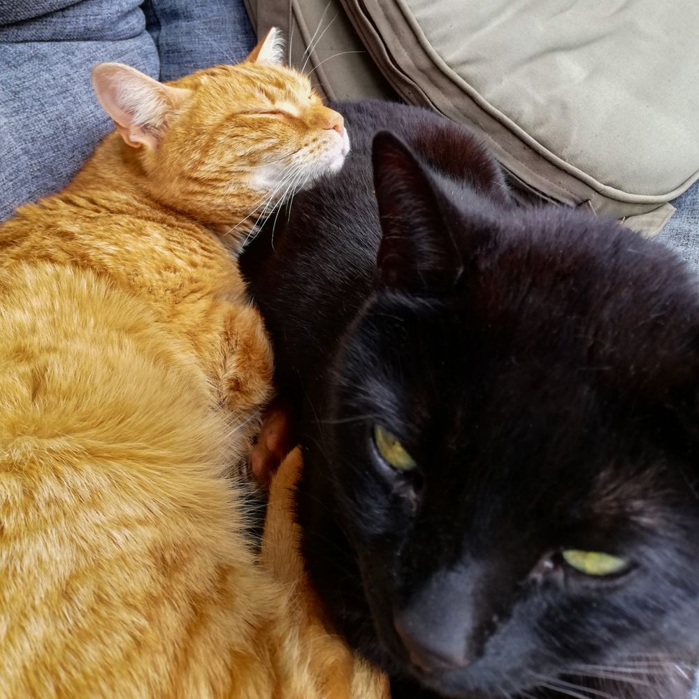 Фотография автора Denes Doma