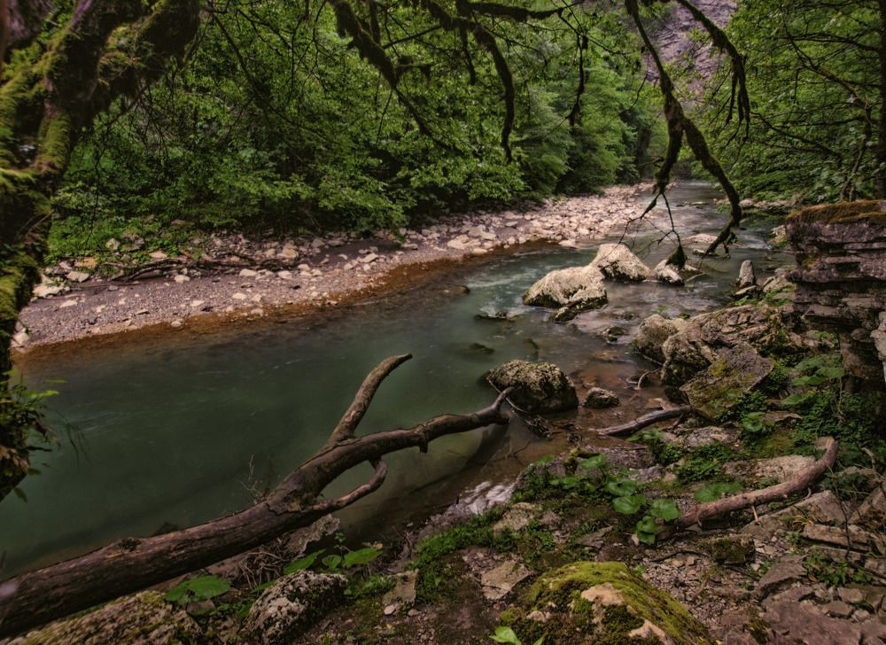 Photograph by Синегубова Ольга