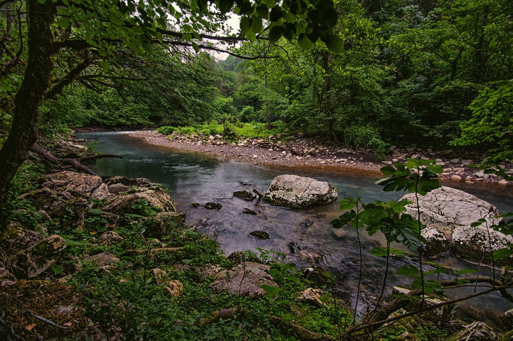 Photograph by Синегубова Ольга