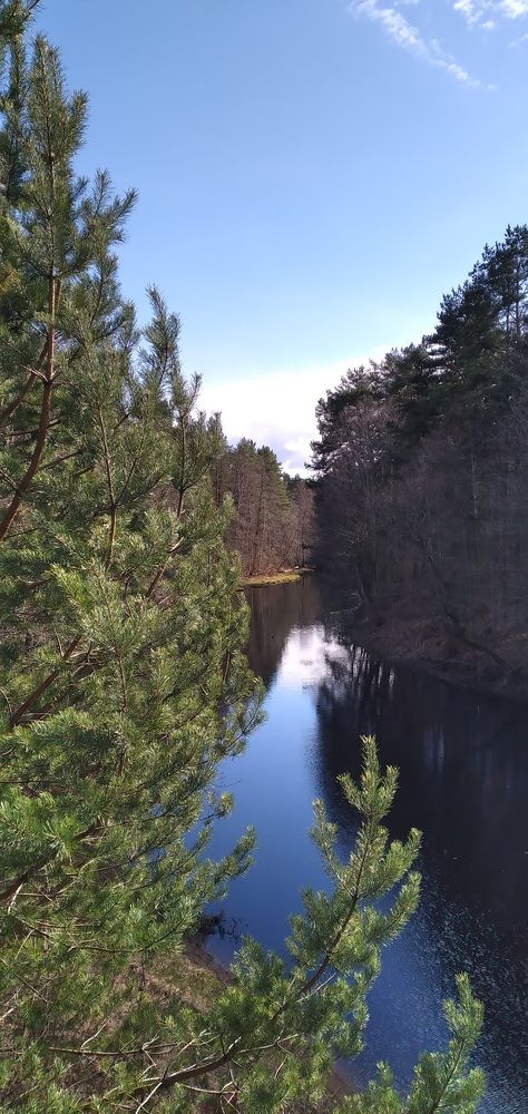 Photograph by Любовь Макарова