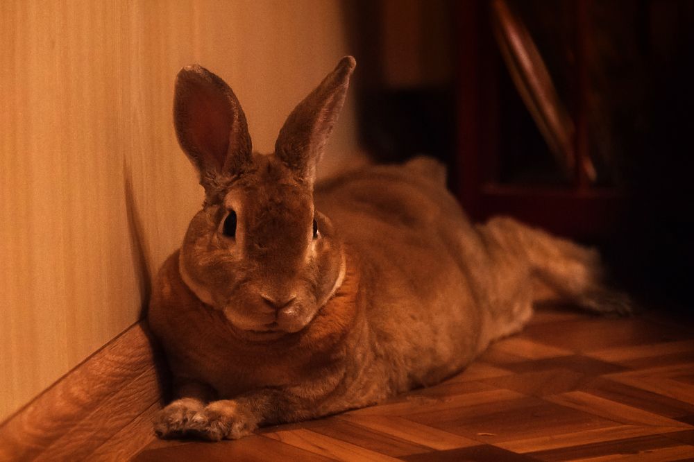 Photograph by Nikolay Mirror