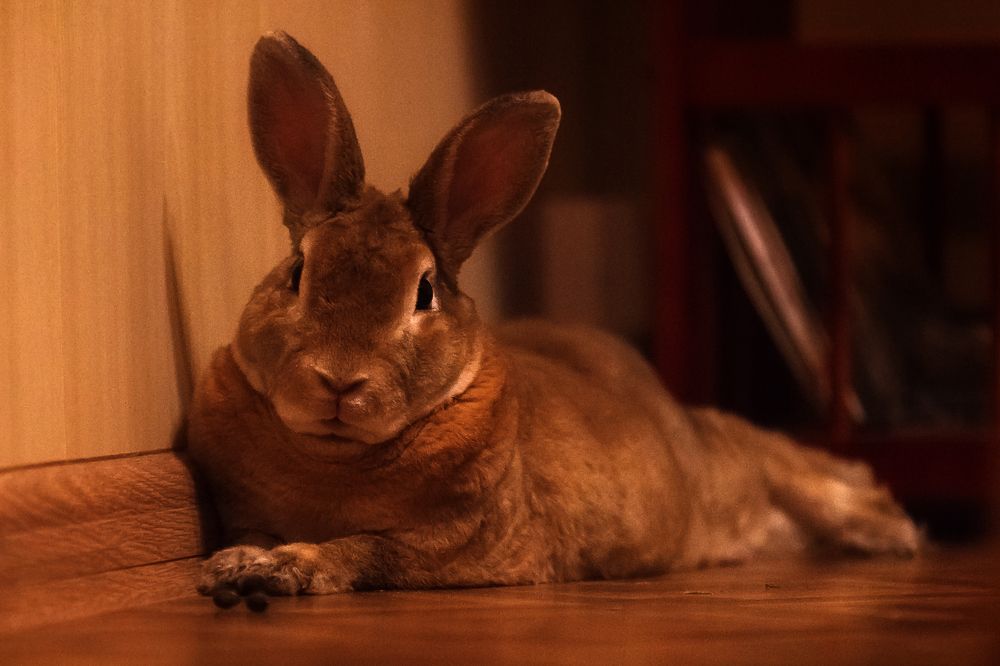 Photograph by Nikolay Mirror