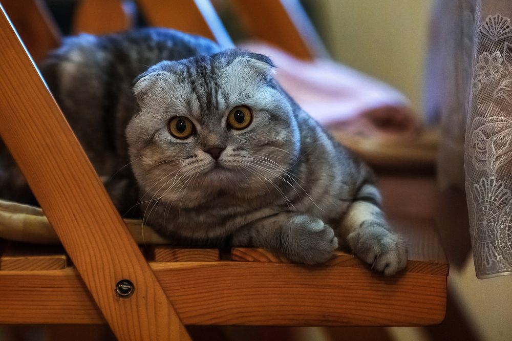 Photograph by Nikolay Mirror