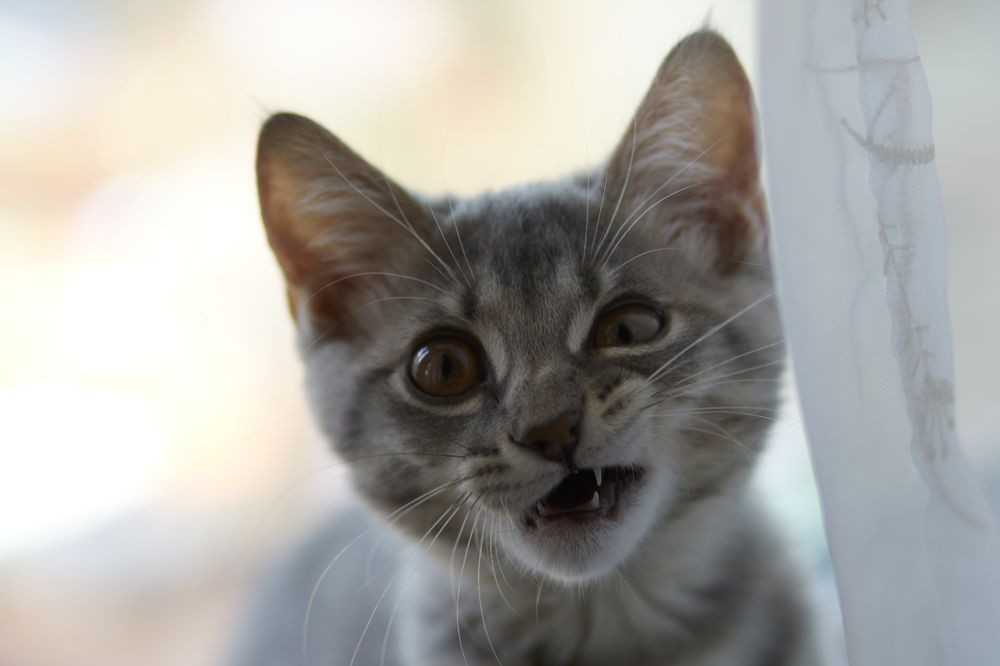 Photograph by Николай Ткач