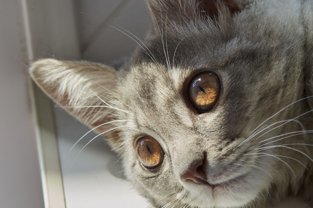 Photograph by Николай Ткач