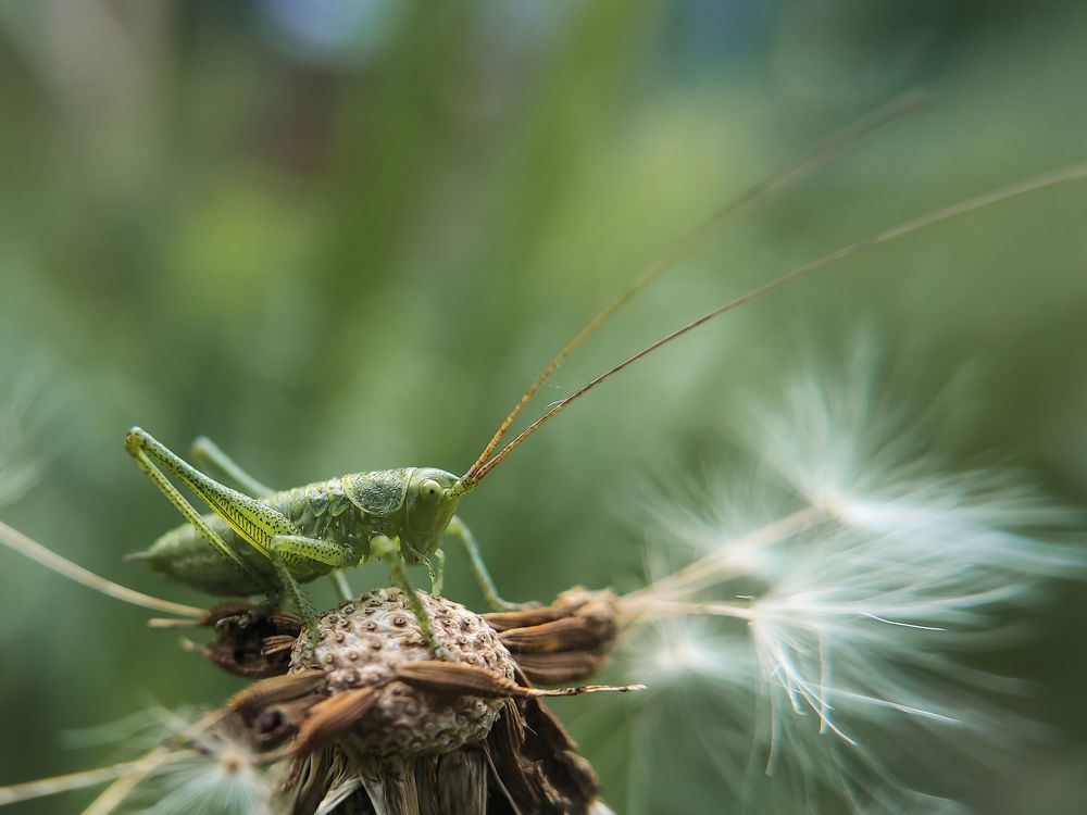 Photograph by Дина Горбачёва