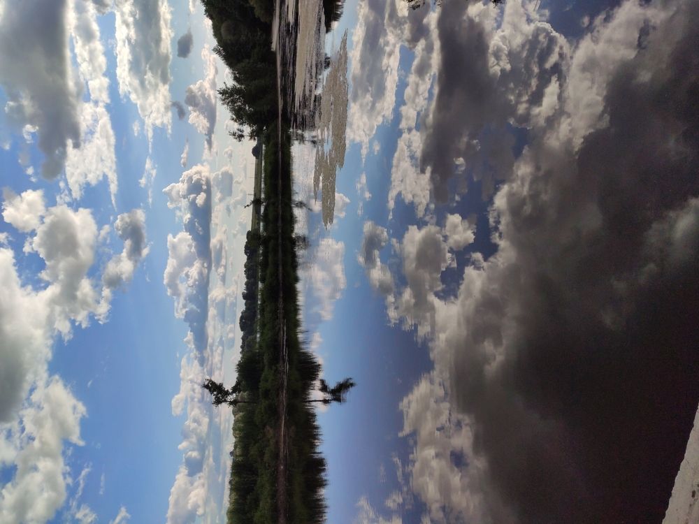 Photograph by Галина Кушнир