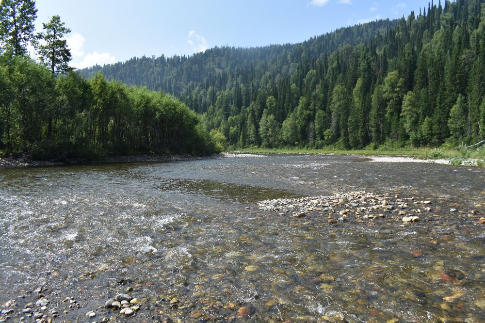 Горная река Бельсу.Август.