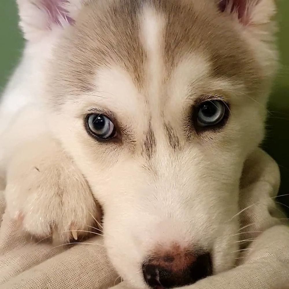 Фотография автора Юлия Таран