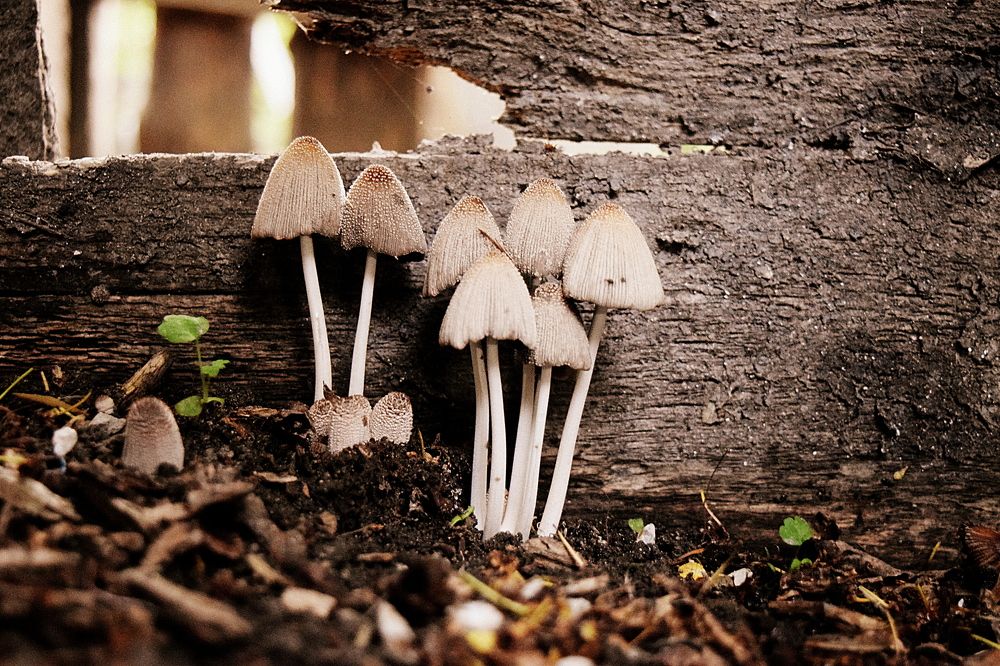 Photograph by Олег Губаревич