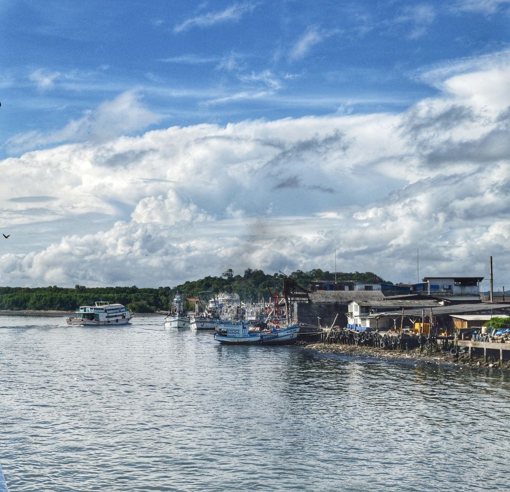 Photograph by Debarshi B