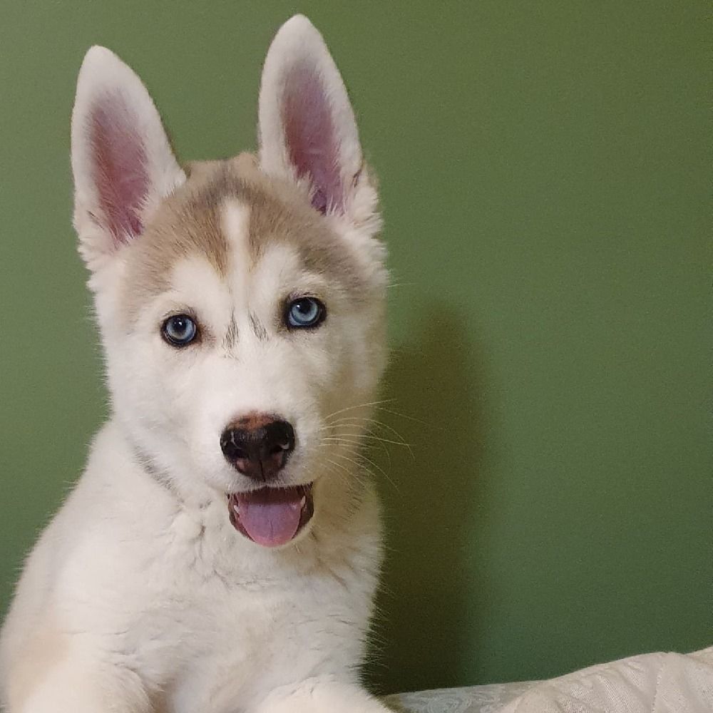 Фотография автора Юлия Таран