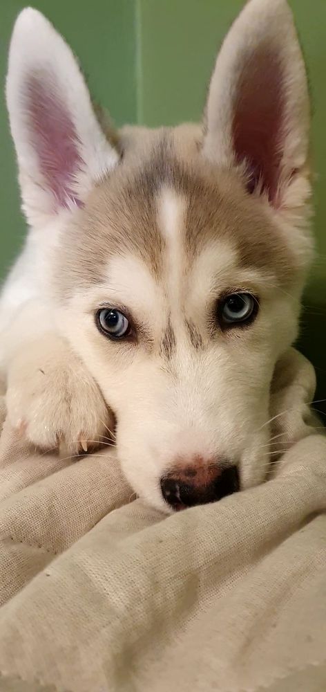 Фотография автора Юлия Таран