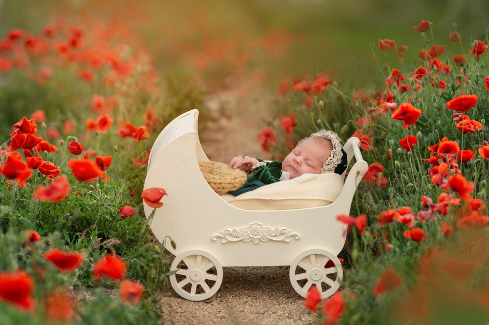 Photograph by Надежда Кураж