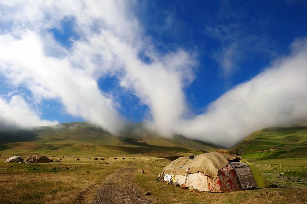 Photograph by mohammadreza behmaram