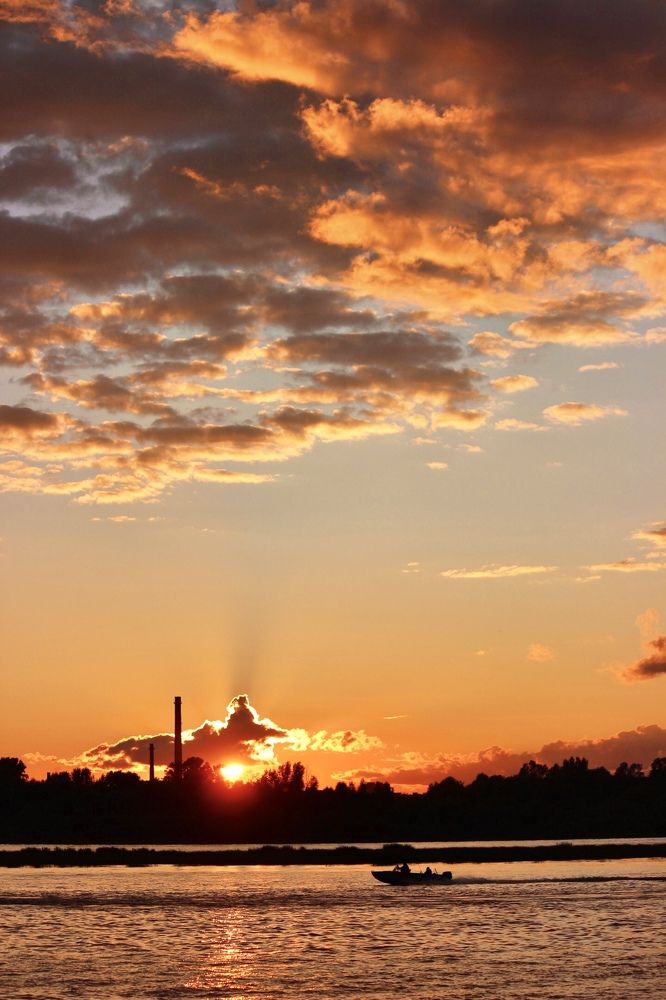 Photograph by Юлия Тигра